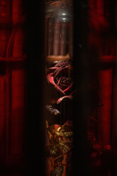 Hébergement AbracadaRoom : Suite Légendes - Image 28