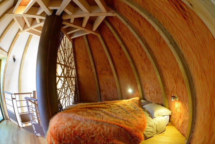 Hébergement AbracadaRoom : Lodge Chrysalide 3 - Image 12