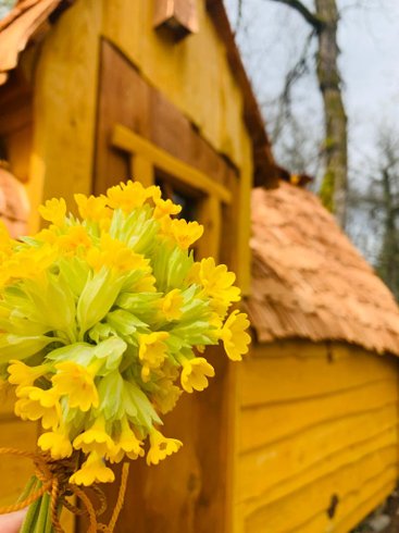 Hébergement AbracadaRoom : Chalet Insolite Privilège les Bonsaïs - Image 7