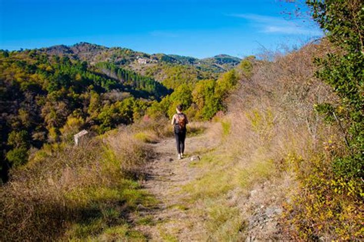 Domaine AbracadaRoom : ECOLIEUX l'Arbre de Vie en Ardèche - Image 10