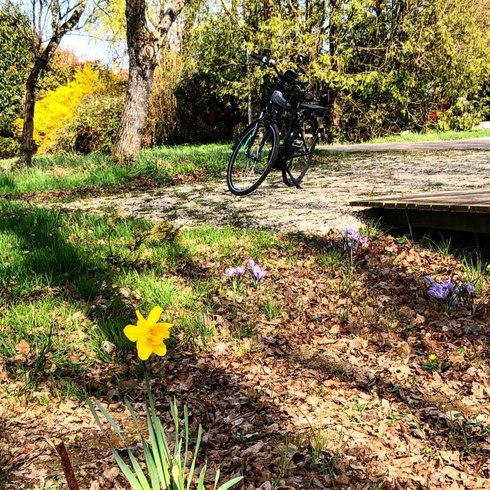 Hébergement AbracadaRoom : Le P'tiot Utau - Image 14