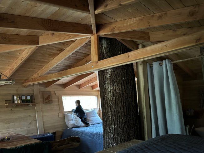 Hébergement AbracadaRoom : Cabane Mésange - Image 9