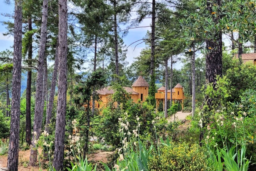 Hébergement AbracadaRoom : La cabane & spa Cupidon - Image 4