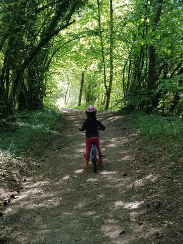 Domaine AbracadaRoom : Au Bois du Moulin - Image 12