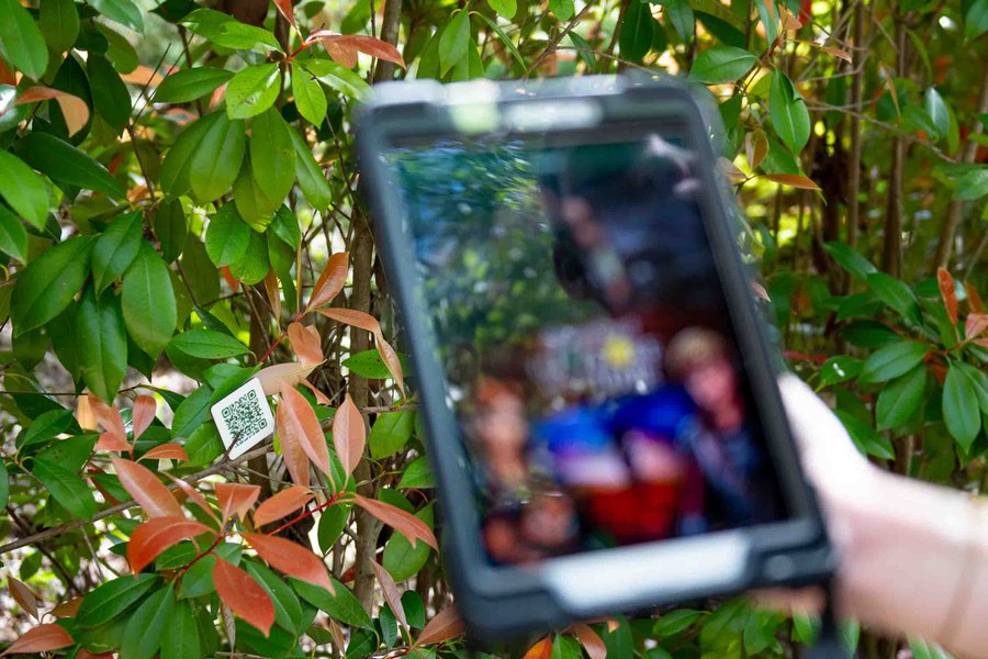 Hébergement AbracadaRoom : La Perle Magique & Spa - Image 26