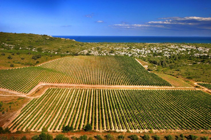 Domaine AbracadaRoom : Camping Paradis Soleil d'Oc - Image 9