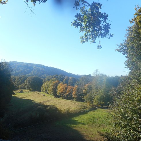 Domaine AbracadaRoom : Ekolobreizh - Image 6