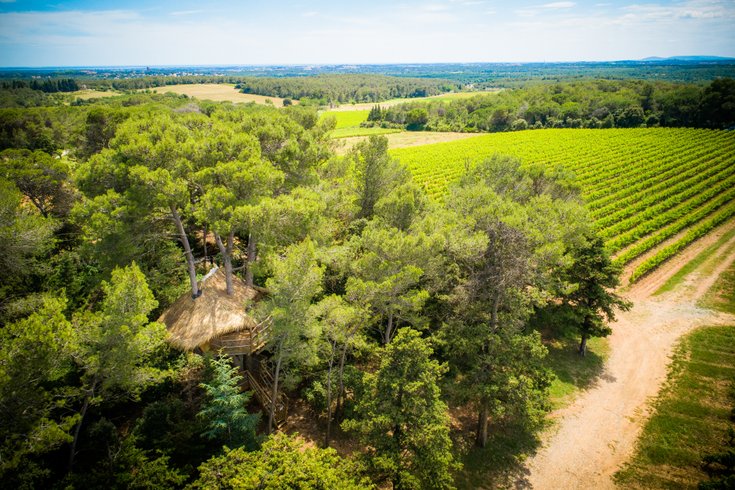 Hébergement AbracadaRoom : Tourterelle - Image 20