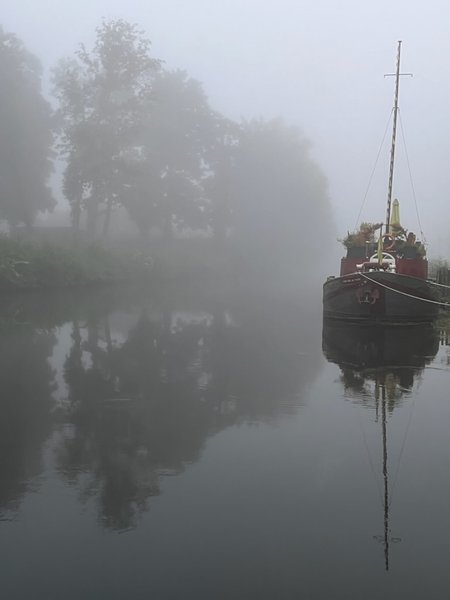 Domaine AbracadaRoom : Arche de Noé - Image 9