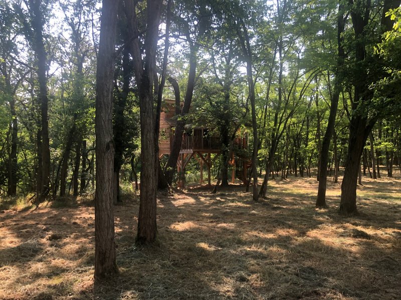 Domaine AbracadaRoom : Le Jardin Des Cabanes - Image 2