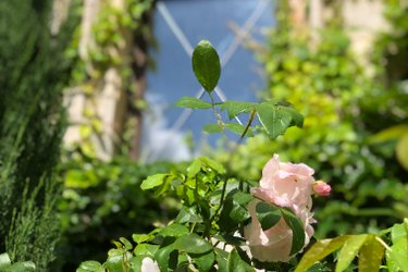 Chambre des Peyronnenc à Saint-Chamarand (4)