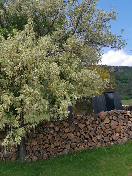 Hébergement AbracadaRoom : Lodge Lièvre - Image 12