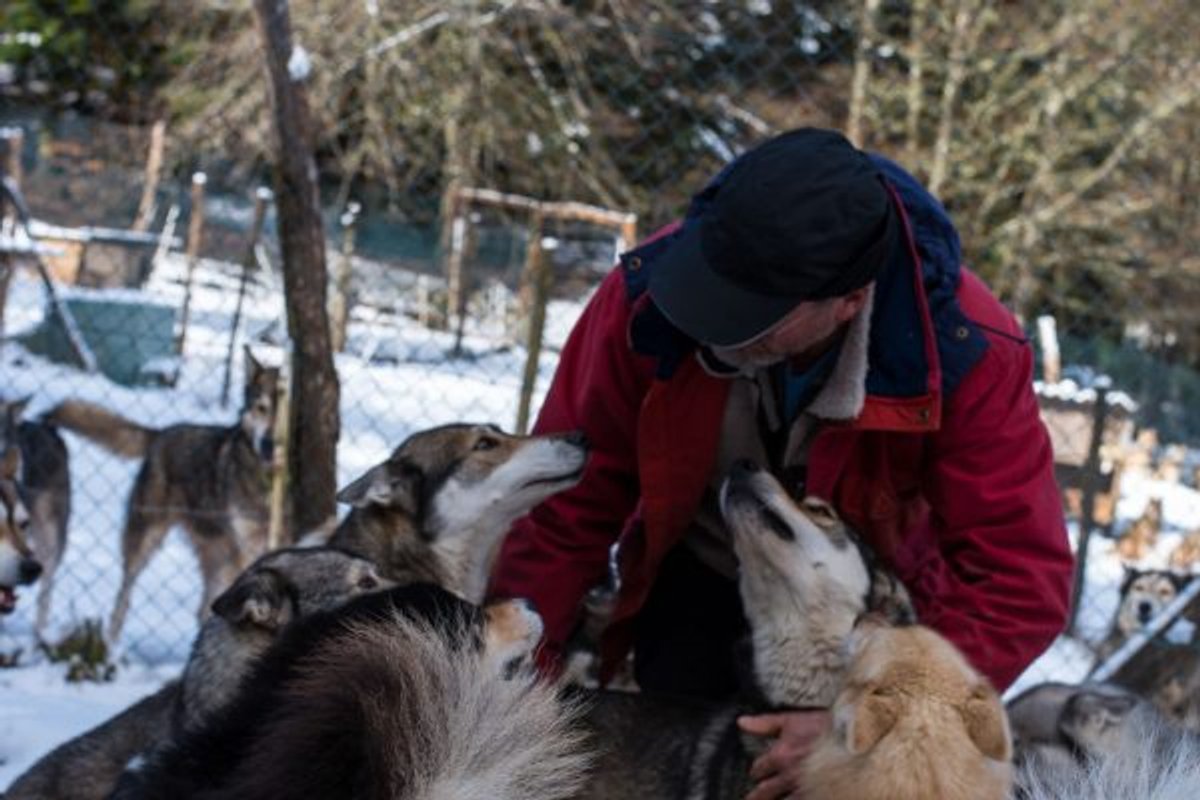 Kota 3 Inari - Séjour inoubliable auprès de huskies à Vassieux-En-Vercors (18)