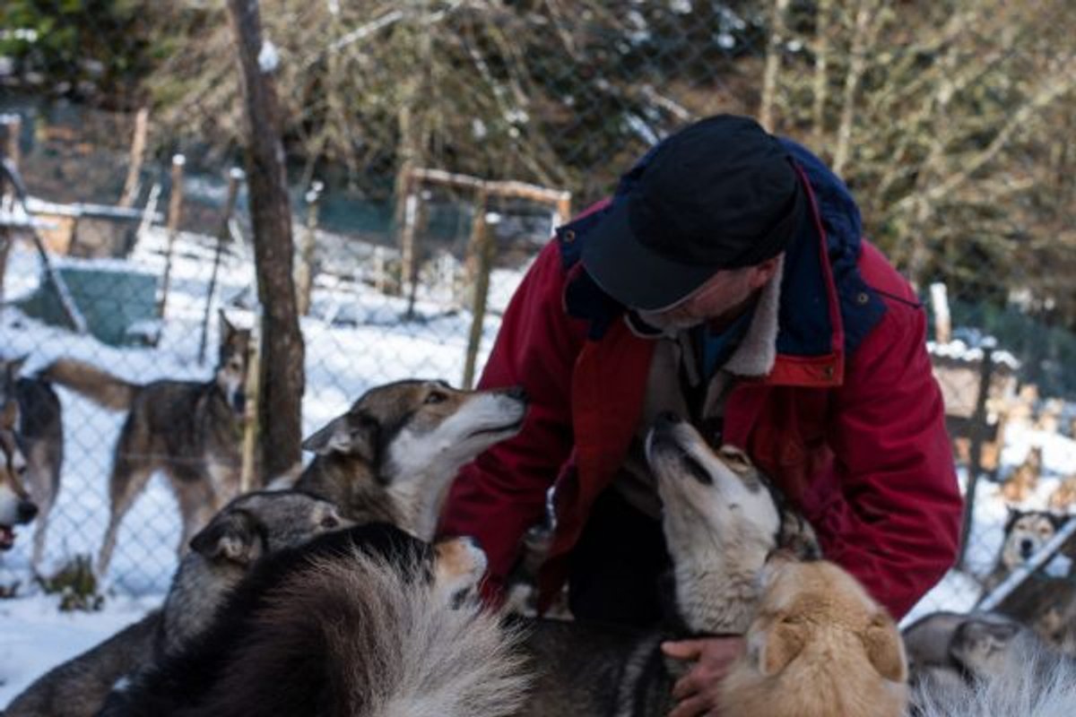 Kota 3 Inari - Séjour inoubliable auprès de huskies à Vassieux-En-Vercors (17)