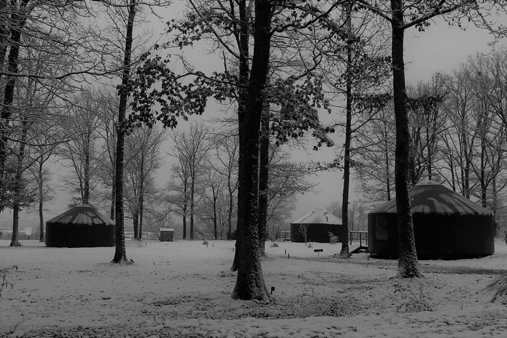 Domaine AbracadaRoom : Yourte Royales - Image 7