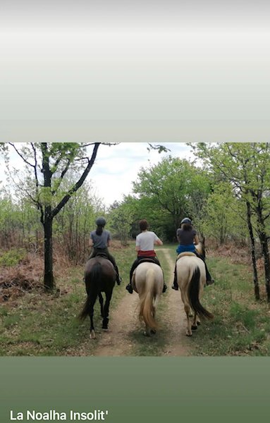 Domaine AbracadaRoom : La Noalha Insolit' - Image 7