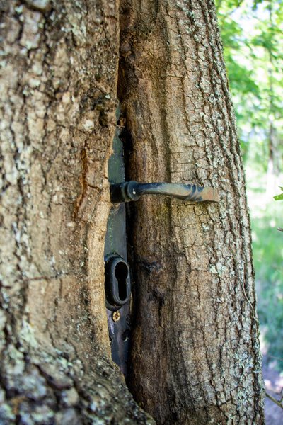 Domaine AbracadaRoom : Le Camp - Image 14