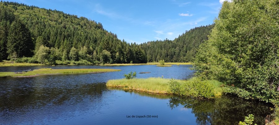 Domaine AbracadaRoom : La Pat' de l'ours - Image 6