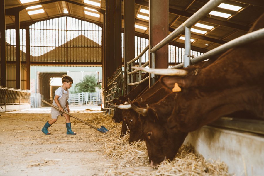 Domaine AbracadaRoom : Un Lit Au Pré -  La ferme de Fontenille - Image 19