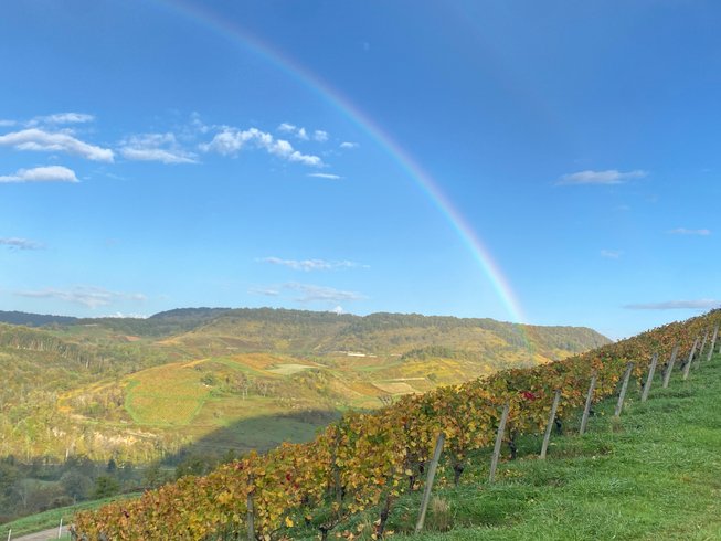 Domaine AbracadaRoom : Homnest (Boyeux) - Image 27