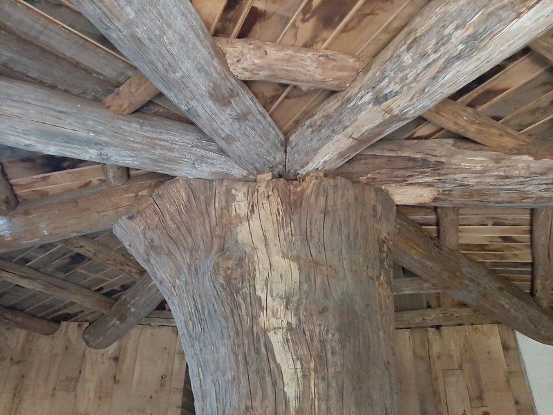 Hébergement AbracadaRoom : Cul de Loup - Image 7