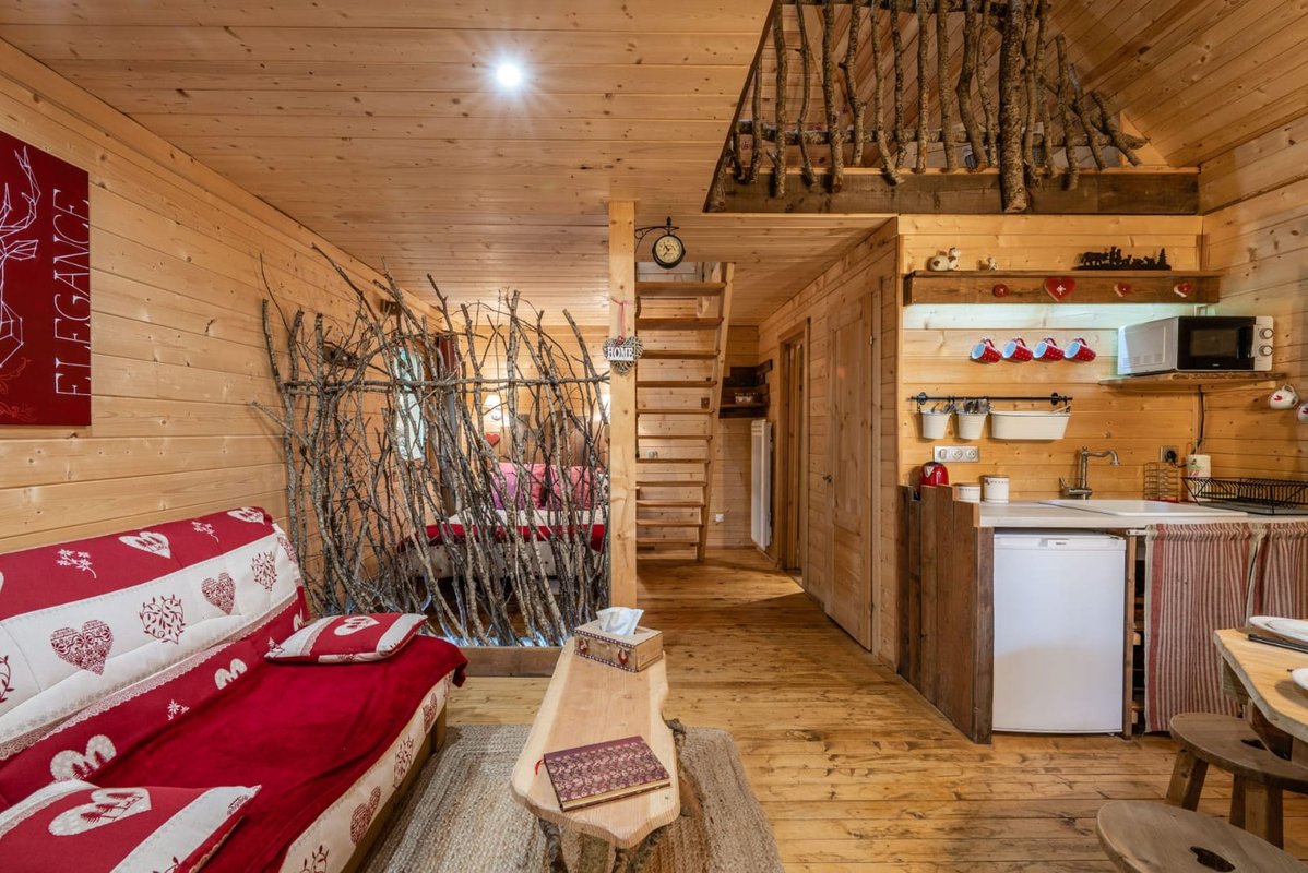 Cabane Spa Les Elfes à Saint Léger Les Mélèzes (4)