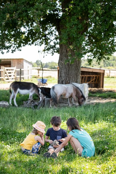 Hébergement AbracadaRoom : Pod - Sous les chênes & Spa - Image 4
