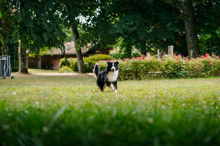 Domaine AbracadaRoom : Homnest (Bruailles) - Image 22