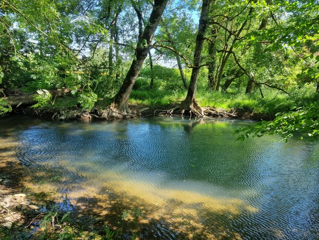 Domaine AbracadaRoom : Moulin de Vilaine - Image 77