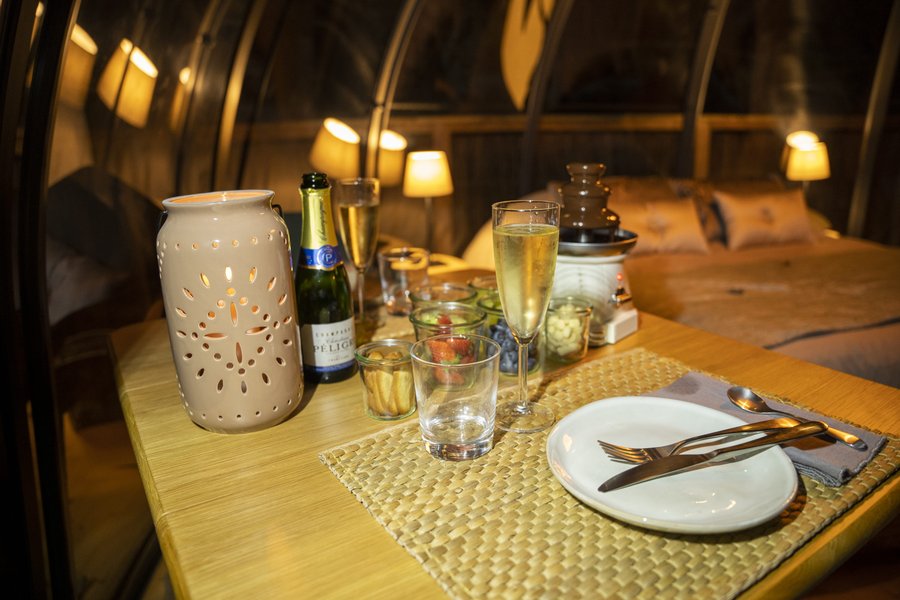 Hébergement AbracadaRoom : Dôme perché Spa - Chouette - Image 8