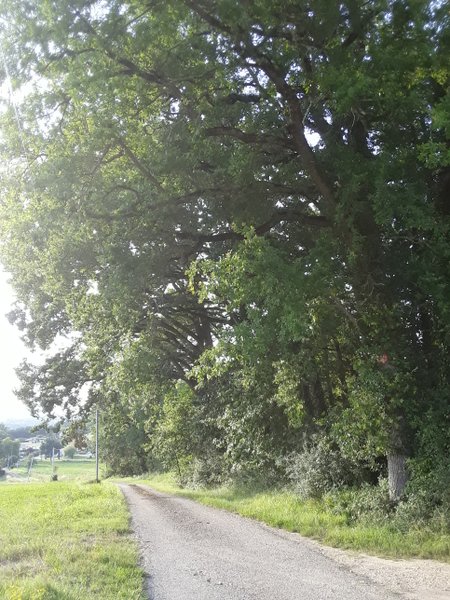 Domaine AbracadaRoom : Le Bois de Mondon - Image 3