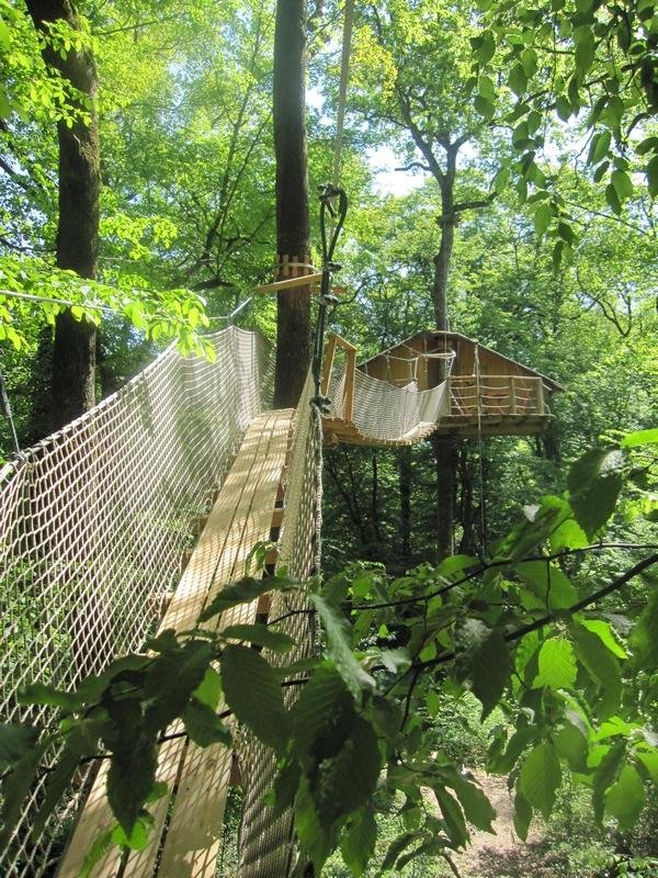 pont-singe-gibbons-cabane-belle