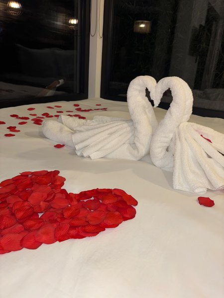 Hébergement AbracadaRoom : Lodge haut de gamme & bain nordique privatif au bord du Canal de Briare à 1h15 de Paris - Image 42