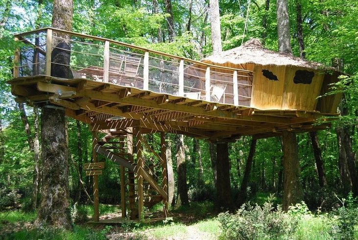 Hébergement AbracadaRoom : Cabane des Chimpanzés - Image 2