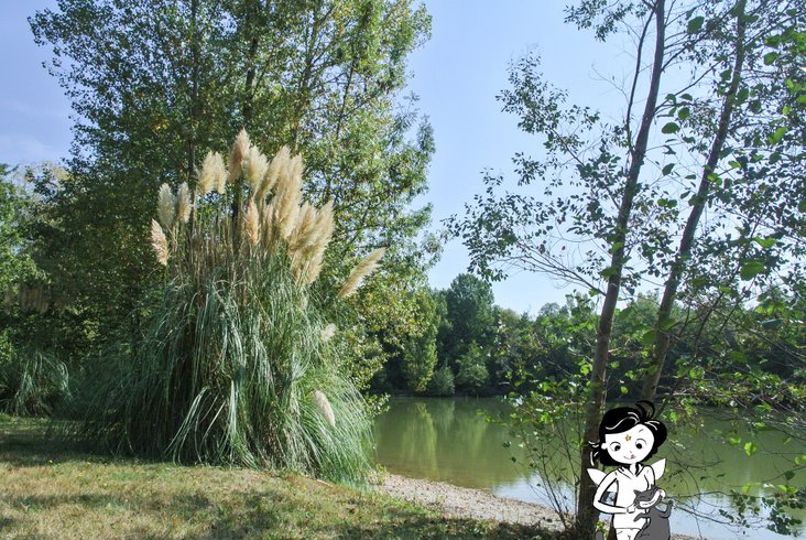 Domaine AbracadaRoom : Les Fées du moulin - Image 1