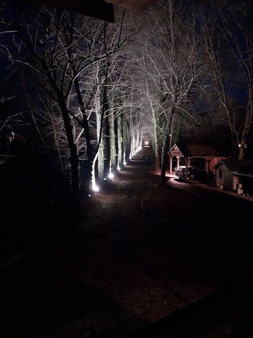 Domaine AbracadaRoom : L'île Merveilleuse - Image 8
