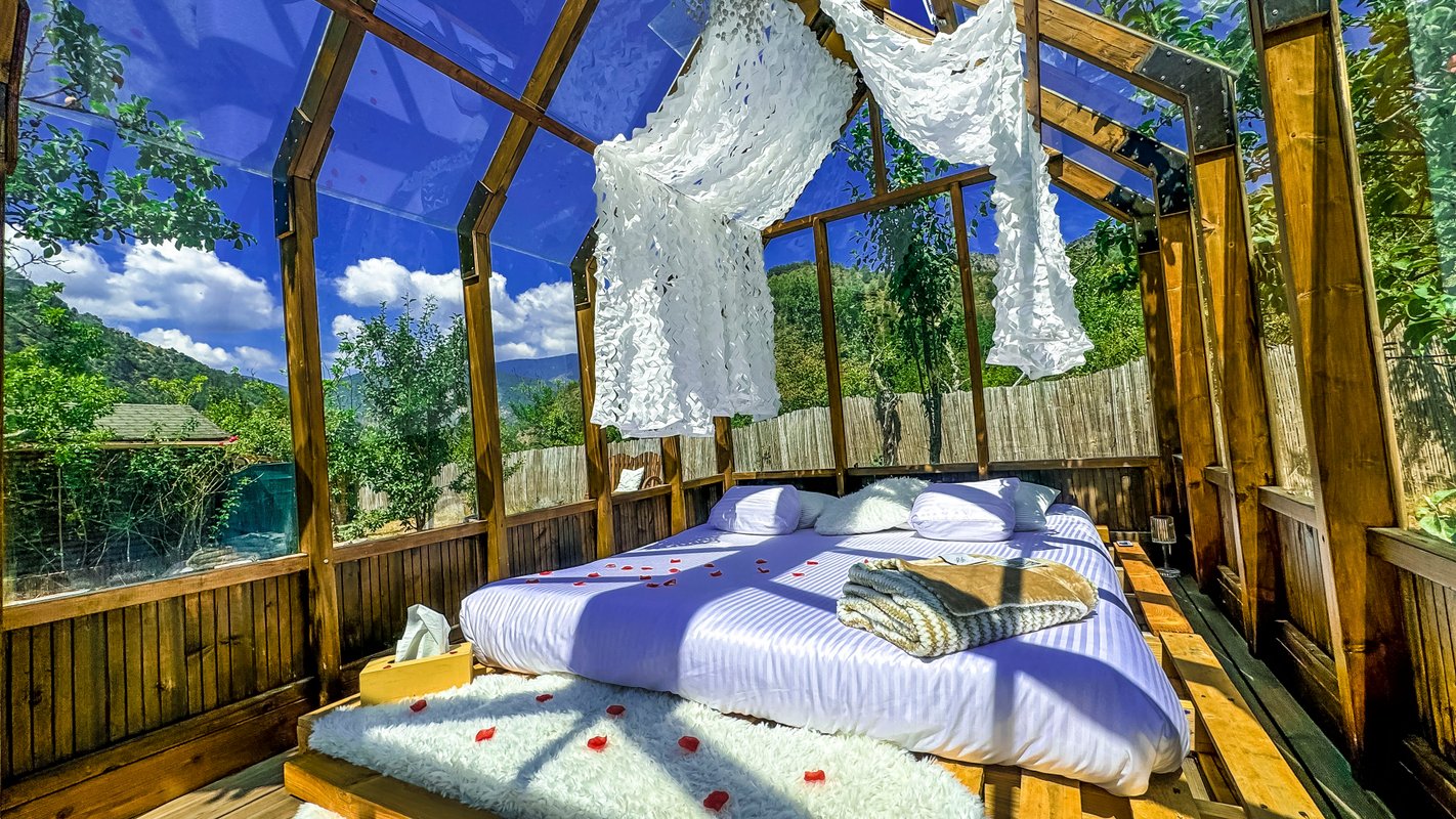 Chalet en verre sous une pluie d’étoiles à Biot (3)