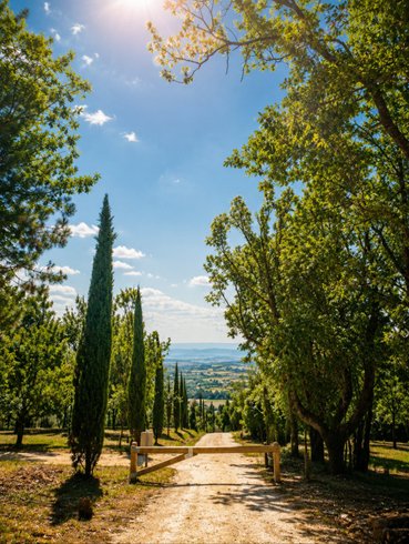 Domaine AbracadaRoom : Pech et Lafon - Image 4