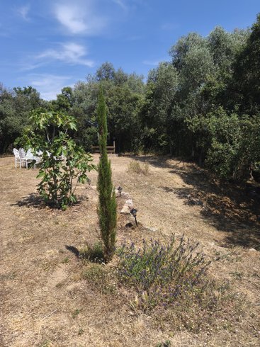 Domaine AbracadaRoom : Casa Ciocciu - Image 3