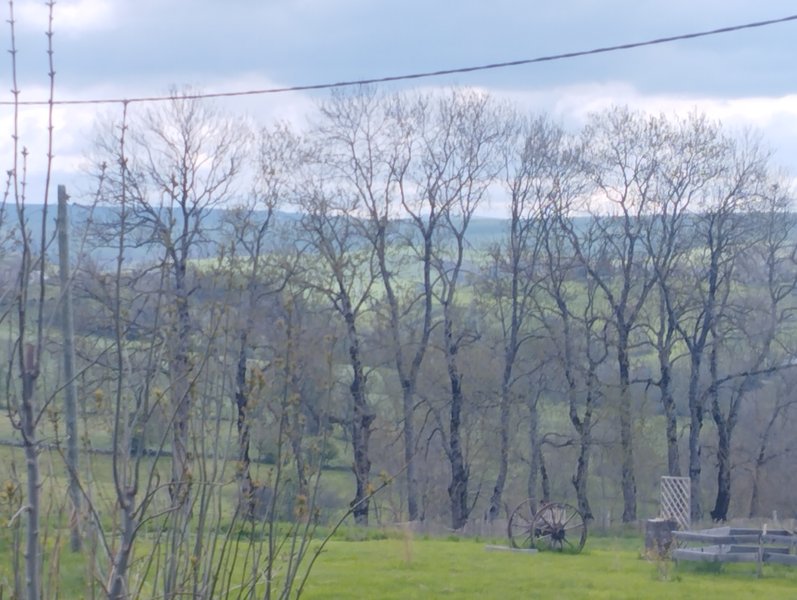 Hébergement AbracadaRoom : La Roulotte  Romantique du P'tit Buron - Image 15