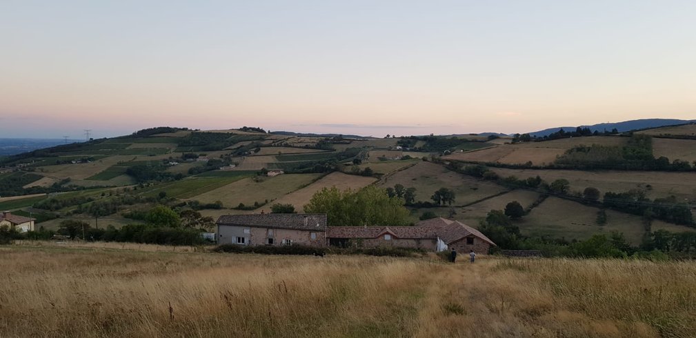 Domaine AbracadaRoom : Clos Sauvage - Image 4