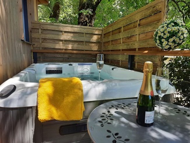 Hébergement AbracadaRoom : La Cabane Aux Tourterelles - Image 2