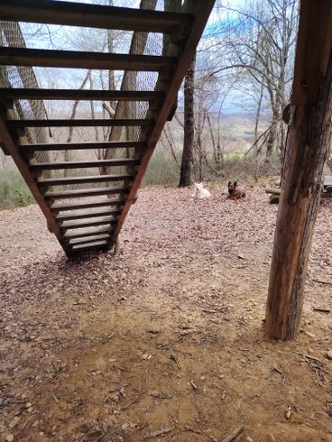 Hébergement AbracadaRoom : Cabane Piste aux Étoiles – nuit insolite sous toit vitré, jusqu’à 6 personnes, Drôme - Image 19