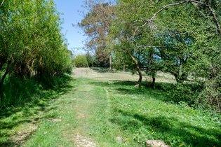 Cabane dans les arbres Gironde