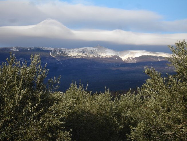 Domaine AbracadaRoom : LA ROULOTTE CHIC ET BOHEME - Image 15