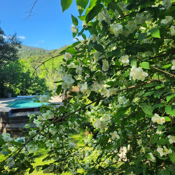 Domaine AbracadaRoom : Le Mas des pots rouges - Image 3