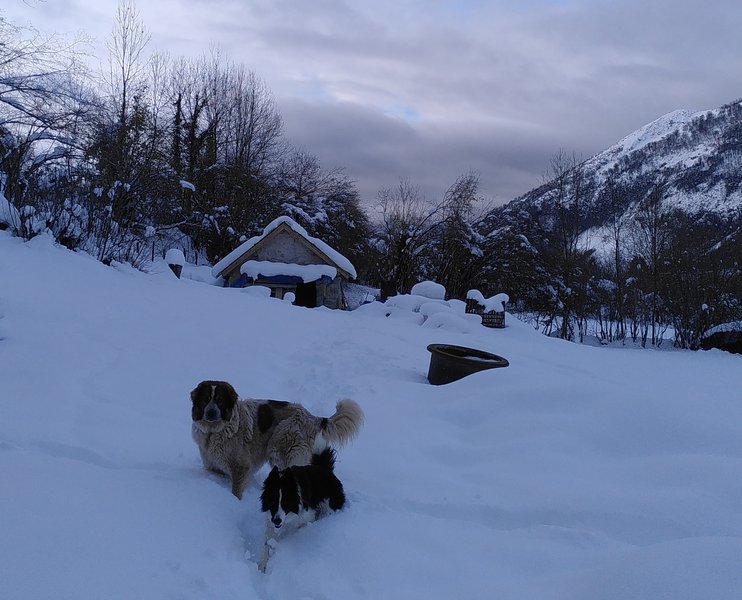 Domaine AbracadaRoom : Cabanots Ecolodge - Image 14