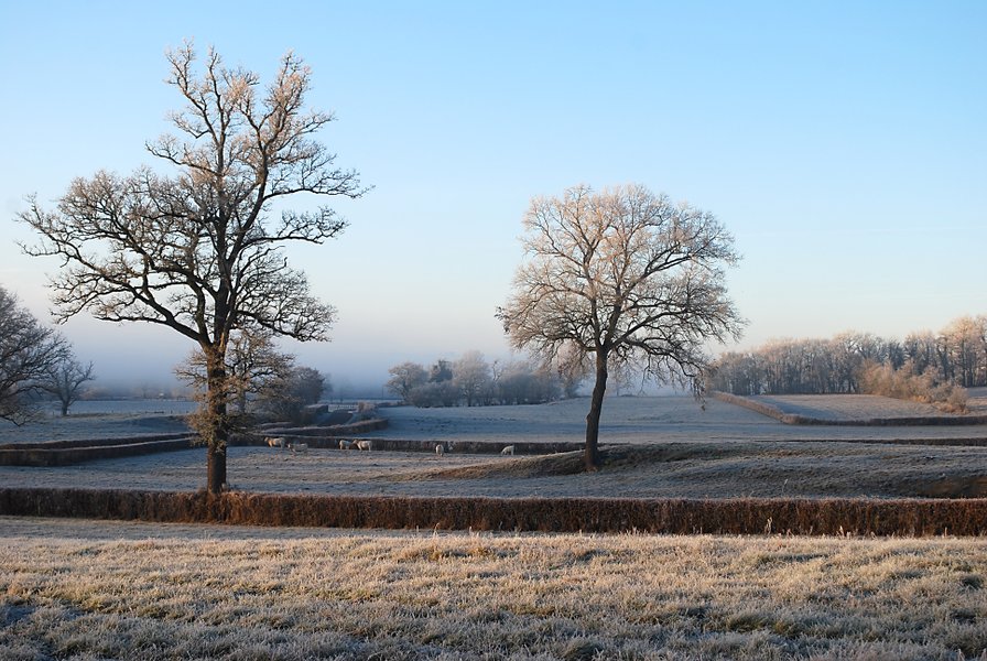 Domaine AbracadaRoom : La Grange Agitée - Image 5