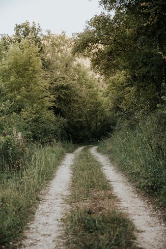 Domaine AbracadaRoom : Domaine Saint-Amand - Image 5