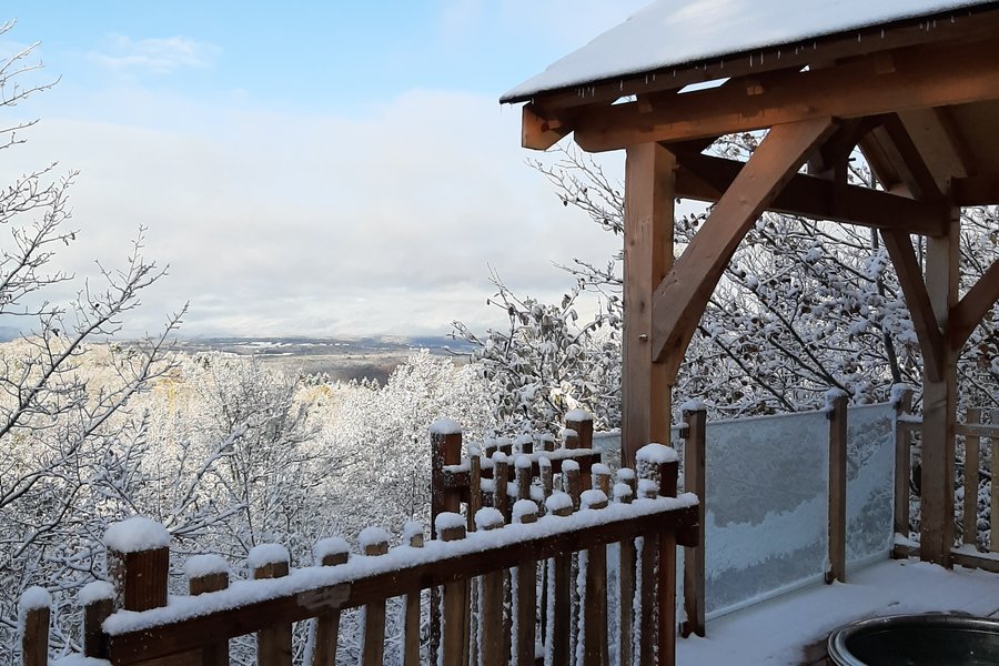 Cabane Spa Mésange — photo 2